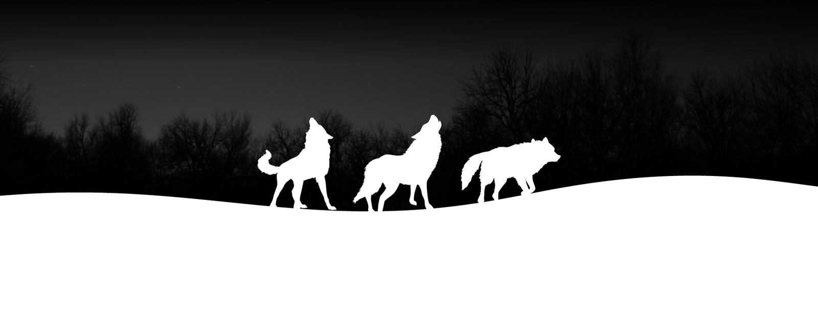 La manada de Loup Creativo